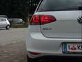 Volkswagen Golf 7 1,6 TDI Rabbit Finanzierung möglich Weiß - thumbnail 17