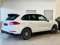 Porsche Cayenne Diesel PlatinumEdition,LUFTFAHRWERK,SZH,RÜCKKAM Weiß - thumbnail 5