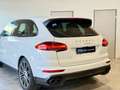 Porsche Cayenne Diesel PlatinumEdition,LUFTFAHRWERK,SZH,RÜCKKAM Weiß - thumbnail 8