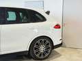 Porsche Cayenne Diesel PlatinumEdition,LUFTFAHRWERK,SZH,RÜCKKAM Weiß - thumbnail 6