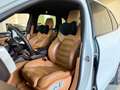 Porsche Cayenne Diesel PlatinumEdition,LUFTFAHRWERK,SZH,RÜCKKAM Weiß - thumbnail 13
