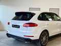 Porsche Cayenne Diesel PlatinumEdition,LUFTFAHRWERK,SZH,RÜCKKAM Weiß - thumbnail 9