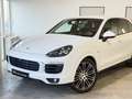 Porsche Cayenne Diesel PlatinumEdition,LUFTFAHRWERK,SZH,RÜCKKAM Weiß - thumbnail 2