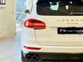 Porsche Cayenne Diesel PlatinumEdition,LUFTFAHRWERK,SZH,RÜCKKAM Weiß - thumbnail 7