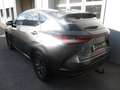 Lexus NX 450h+ PHEV Executive Interieur- & Techpaket Grau - thumbnail 5