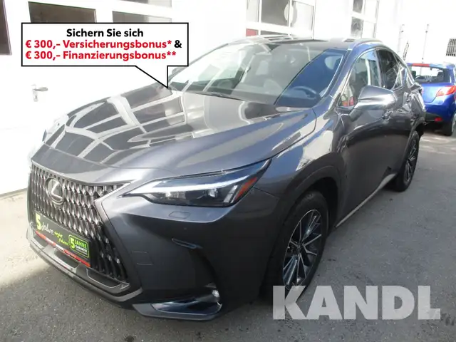 Lexus NX 450h+ PHEV Executive Interieur- & Techpaket