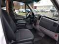 Mercedes-Benz Sprinter KOMBI 9-SITZE AUTOMATIK CREWBUS Weiß - thumbnail 2
