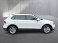 Volkswagen Tiguan Life TDI DSG Weiß - thumbnail 6