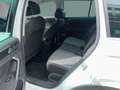 Volkswagen Tiguan Life TDI DSG Weiß - thumbnail 12