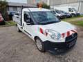 Fiat Doblo Work Up Pritsche Weiß - thumbnail 3