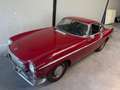 Volvo P1800 S MY1964/EX-CANADA/RESTORATION PROJECT Rood - thumbnail 8