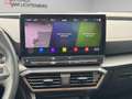 CUPRA Formentor VZ 2.0 TSI 4Drive NAVI+LEDER+PANO+360KAMERA+E-KLAP Grau - thumbnail 13