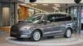 Ford Galaxy Galaxy 2.0 TDI Titanium 7-Sitzer Aut.  *Navi*Kamer Grau - thumbnail 7