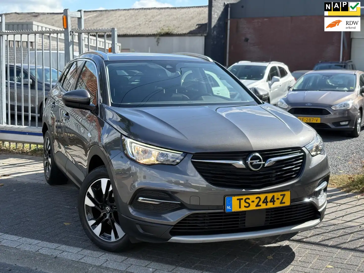 Opel Grandland X 1.2 Turbo Business Executive | Apple CarPlay | Tre Grijs - 1