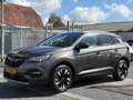 Opel Grandland X 1.2 Turbo Business Executive | Apple CarPlay | Tre Gris - thumbnail 17