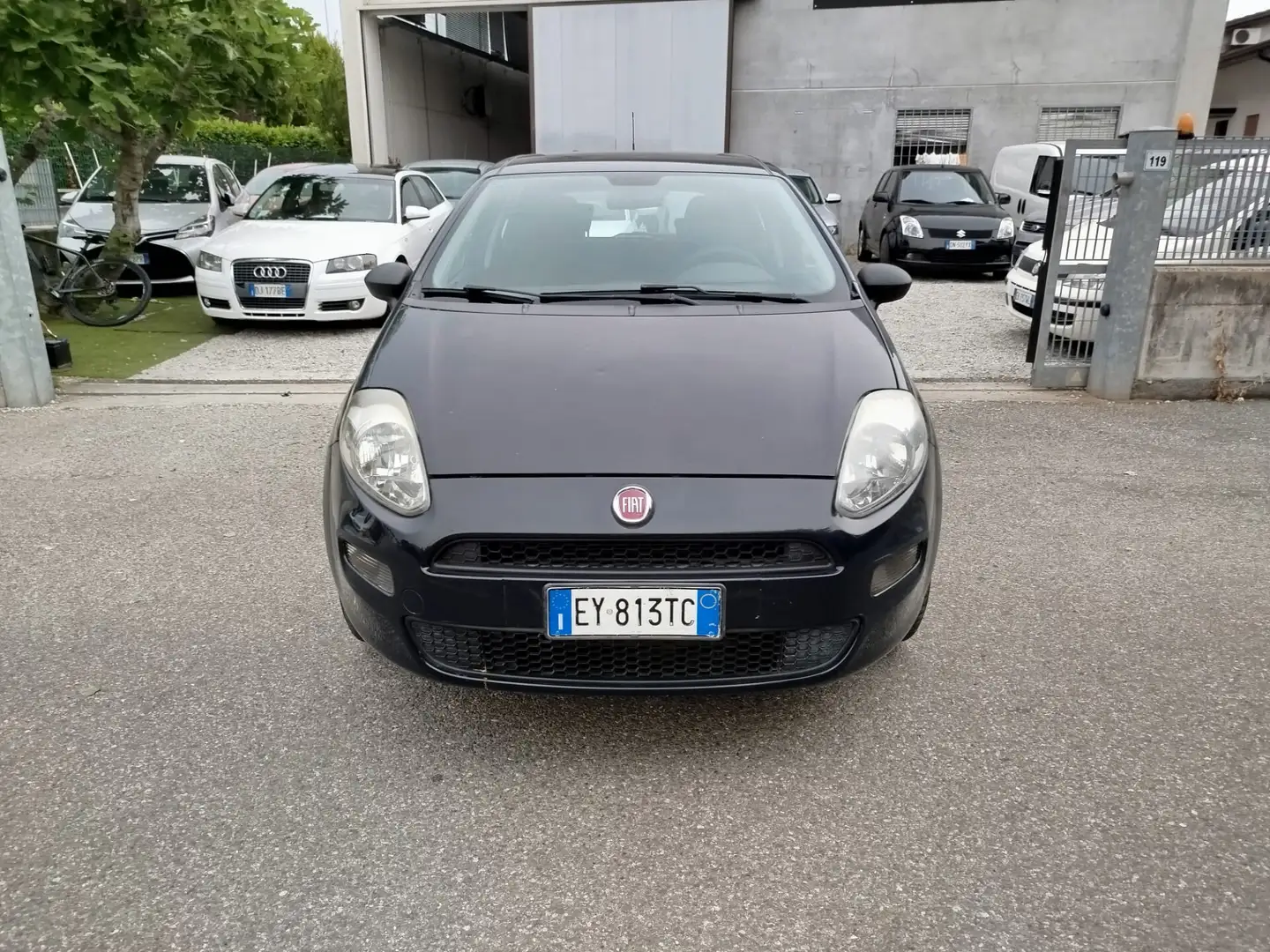Fiat Punto 1.4 8V 5 porte Natural Power Lounge Blu/Azzurro - 2