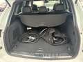 Porsche Cayenne S E-Hybrid 21" TOP ZUSTAND Weiß - thumbnail 15
