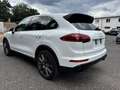 Porsche Cayenne S E-Hybrid 21" TOP ZUSTAND Weiß - thumbnail 6