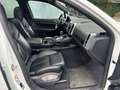 Porsche Cayenne S E-Hybrid 21" TOP ZUSTAND Weiß - thumbnail 12