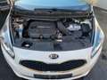 Kia Carens Spirit 7 Sitzer Panorama Leder Xenon SHZ Weiß - thumbnail 26