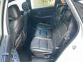 Kia Carens Spirit 7 Sitzer Panorama Leder Xenon SHZ Weiß - thumbnail 18