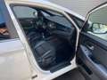 Kia Carens Spirit 7 Sitzer Panorama Leder Xenon SHZ Weiß - thumbnail 20