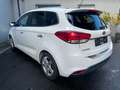 Kia Carens Spirit 7 Sitzer Panorama Leder Xenon SHZ Weiß - thumbnail 4