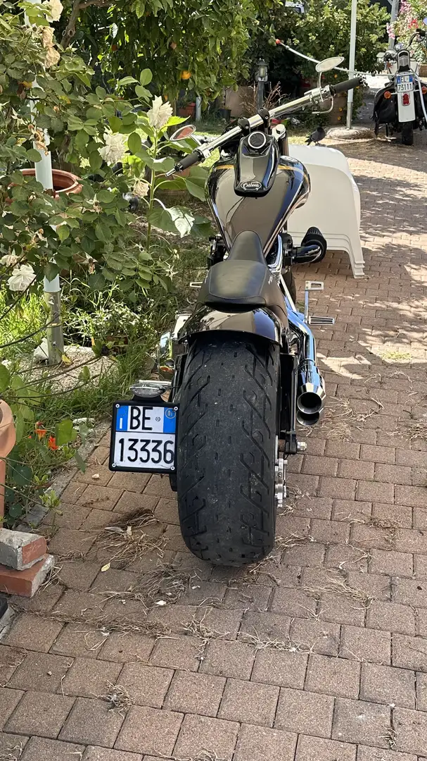 Harley-Davidson 1200 Custom personalizzato - 2