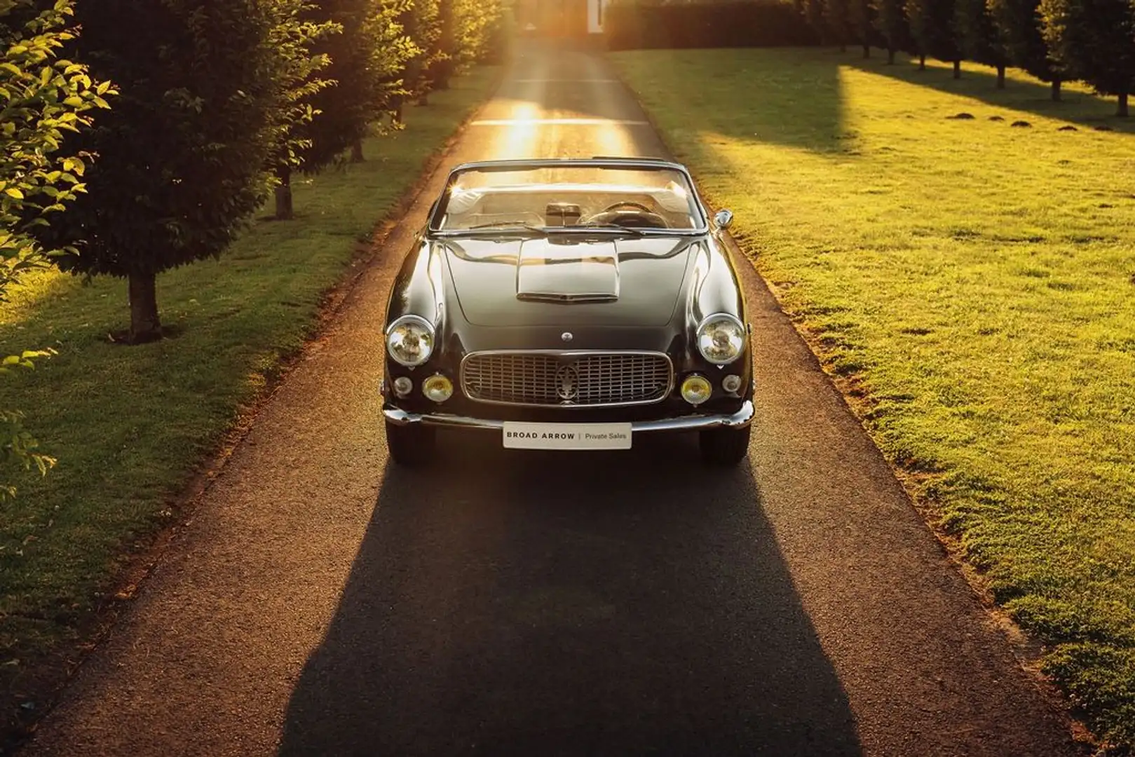Maserati 3500 GT Vignale Spider Grijs - 2