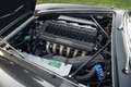 Maserati 3500 GT Vignale Spider Grijs - thumbnail 15