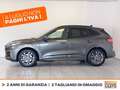 Ford Kuga 2.5 phev st-line x 2wd 225cv cvt Grigio - thumbnail 3