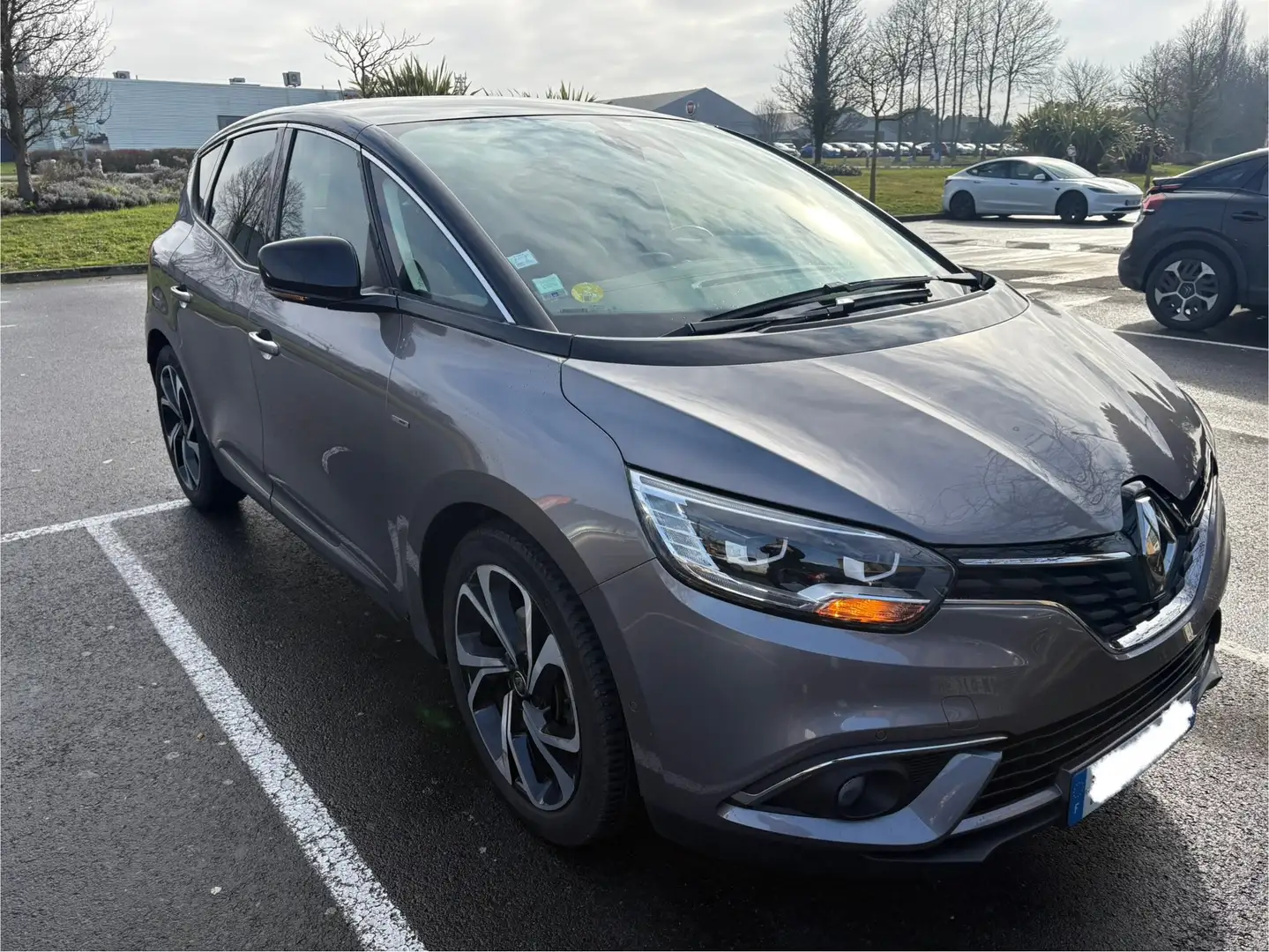 Renault Scenic Scenic Blue dCi 120 EDC Intens Gris - 2