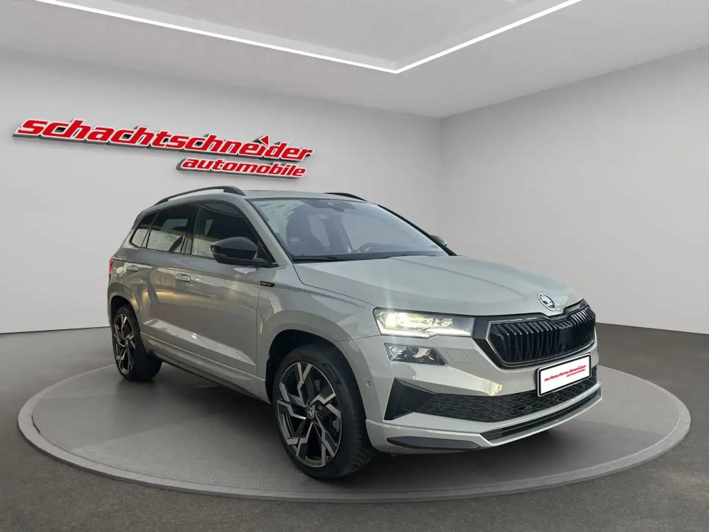 Skoda Karoq 2.0 TSI 4x4 DSG Sportline+ACC+Panorama+ Grau - 1