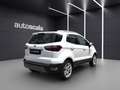 Ford EcoSport 1.0 EcoBoost 125 CV Start&Stop Titanium Blanco - thumbnail 6