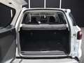 Ford EcoSport 1.0 EcoBoost 125 CV Start&Stop Titanium Blanco - thumbnail 5
