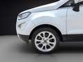 Ford EcoSport 1.0 EcoBoost 125 CV Start&Stop Titanium Blanco - thumbnail 10