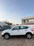 Nissan Qashqai Qashqai 1.5 dCi DPF Tekna Bianco - thumbnail 3