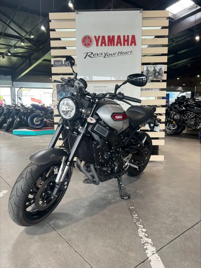 Yamaha XSR 900 Gri - 2