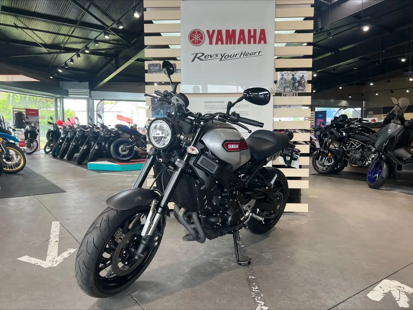 Yamaha XSR 900 Gri - 1