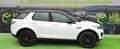 Land Rover Discovery Sport 2.0TD4 SE 4x4 Aut. 150 Bianco - thumbnail 2