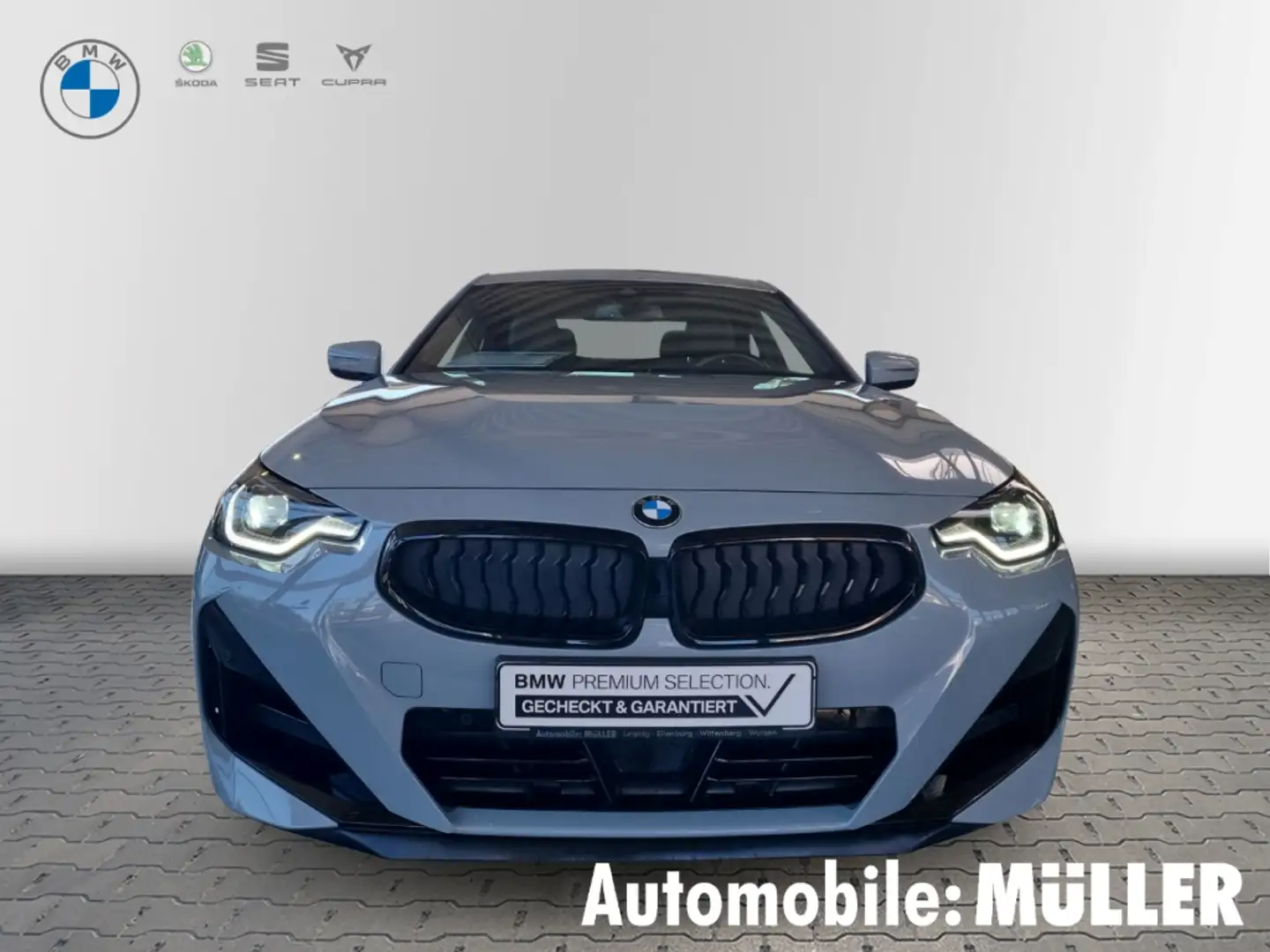 BMW 220 Coupe M Sport Navi Digitales Cockpit Soundsystem L Grijs - 2