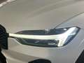 Volvo XC60 Plus Dark AWD*Navi*LED*Leder*AHK* Weiß - thumbnail 31