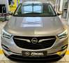 Opel Grandland X Edition/AHZV/IntelliLux/Kamera/Sitzh/Lenkradh/PP Gris - thumbnail 4