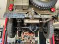Jeep Willys Grün - thumbnail 10