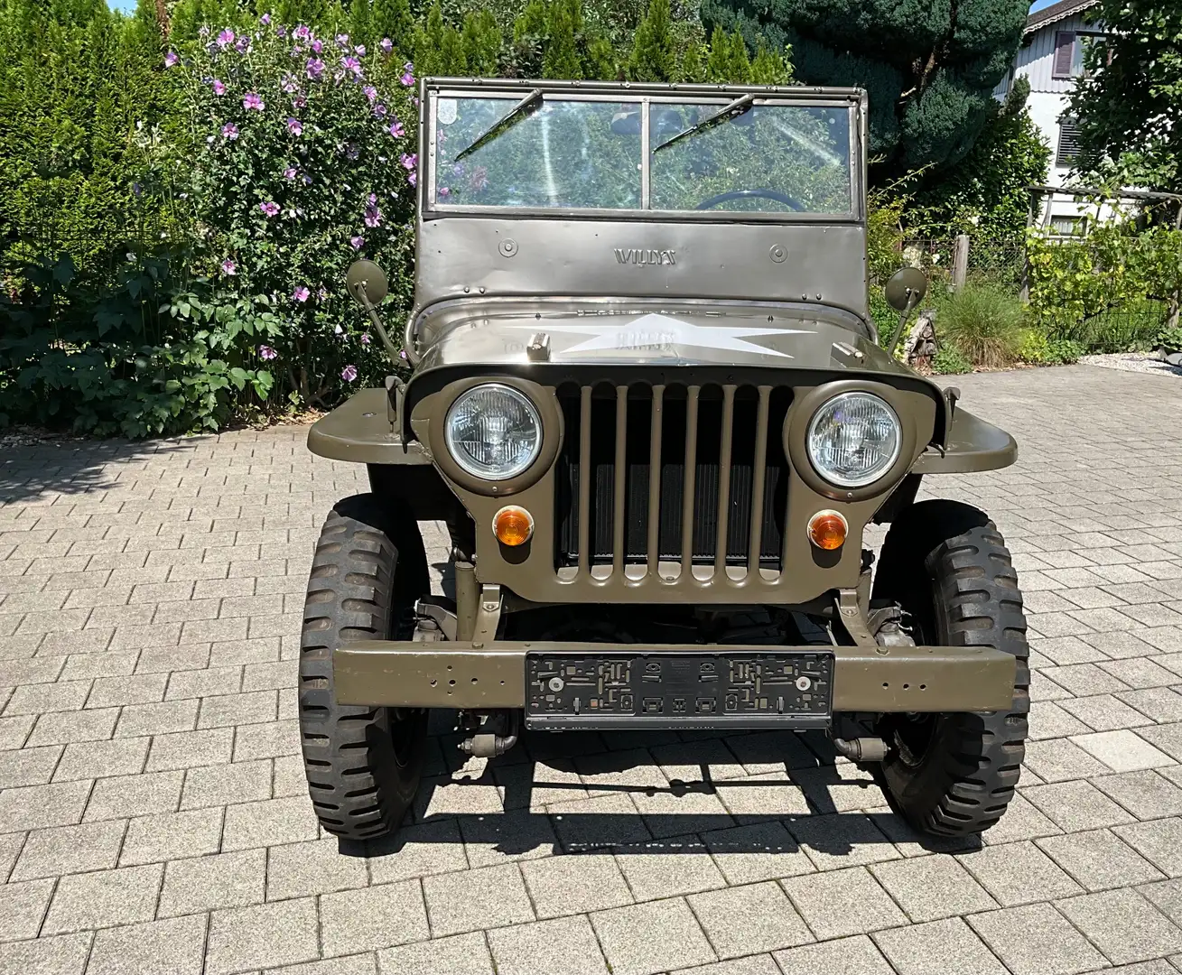 Jeep Willys Grün - 2