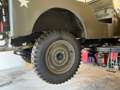 Jeep Willys Grün - thumbnail 15