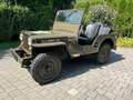 Jeep Willys Grün - thumbnail 1