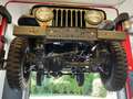 Jeep Willys Grün - thumbnail 7