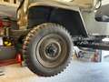 Jeep Willys Grün - thumbnail 13