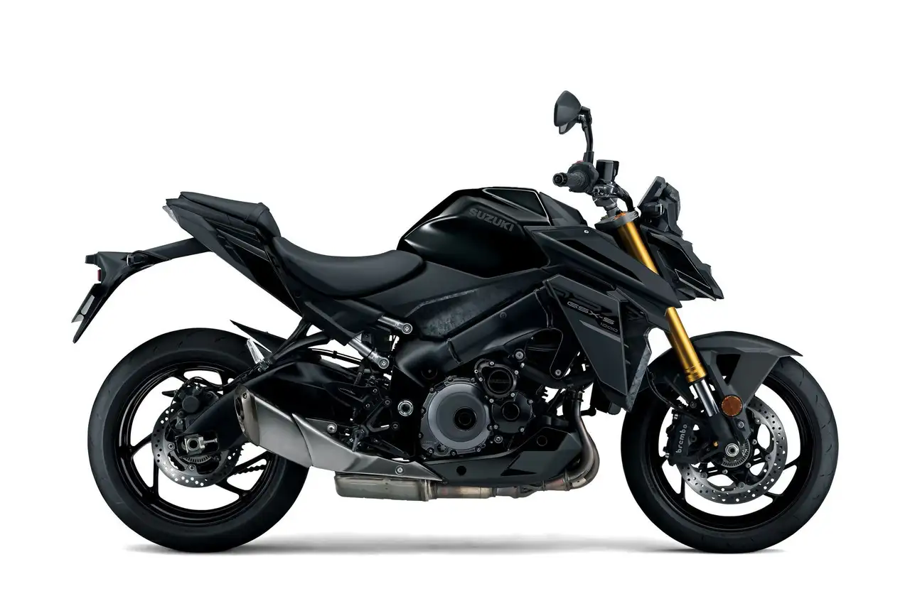 Suzuki GSX-S 1000
